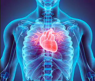 Improving Your Heart Health Naturally